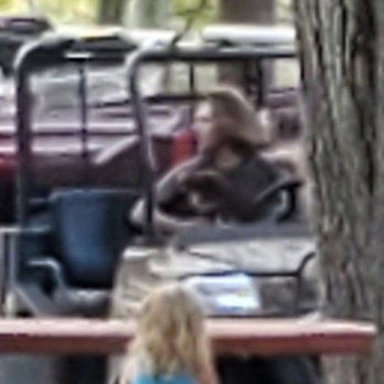1. Egg Harbor River Campgrounds