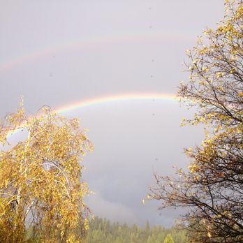 Mt Shasta Realty - You'll see a lot of rainbows here in Siskiyou County! - Real Estate Agents Near Me - Mount Shasta, California Mt Shasta Realty - You'll see a lot of rainbows here in Siskiyou County! - Real Estate Agents Near Me - Mount Shasta, California