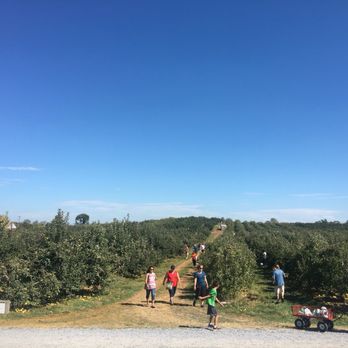 Marker-Miller Orchards - Bakeries Near Me - Winchester, Virginia