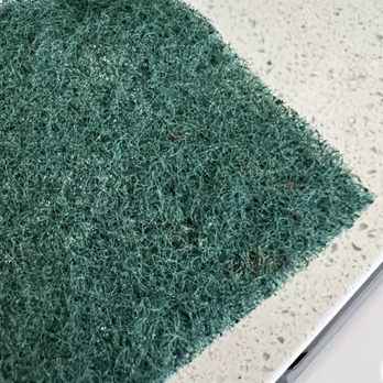 Thunderbird Beach Resort - Smelly moldy dish sponge, yuck - Hotels Near Me - Treasure Island, Florida Thunderbird Beach Resort - Smelly moldy dish sponge, yuck - Hotels Near Me - Treasure Island, Florida