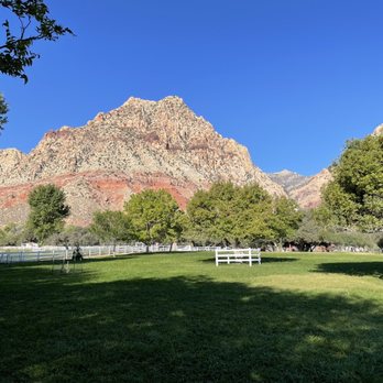 Spring Mountain Ranch State Park - Overlooking the Spring Mountain field and surrounding mountain scapes. - Parks Near Me - Blue Diamond, Nevada