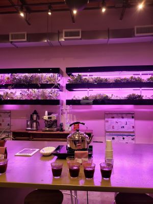 Café Saint-Henri (Villeray - Quartier Général) by null