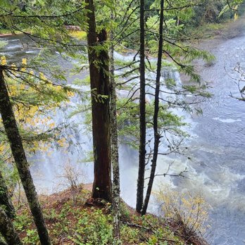Lewis River Falls - Hiking Near Me - Cougar, Washington