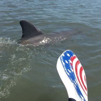 Saltmarsh Paddle Tours - Rafting/Kayaking Near Me - Hilton Head Island, South Carolina Saltmarsh Paddle Tours - Rafting/Kayaking Near Me - Hilton Head Island, South Carolina