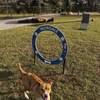 Tails By The Rails - Dog Parks Near Me - Birmingham, Alabama Tails By The Rails - Dog Parks Near Me - Birmingham, Alabama