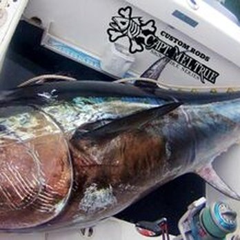 Fishnet Charters - Capt. Mel True - 600 pound Bluefin Tuna caught on 3 miles off Cape Cod! - Fishing Near Me - Freetown, Massachusetts Fishnet Charters - Capt. Mel True - 600 pound Bluefin Tuna caught on 3 miles off Cape Cod! - Fishing Near Me - Freetown, Massachusetts