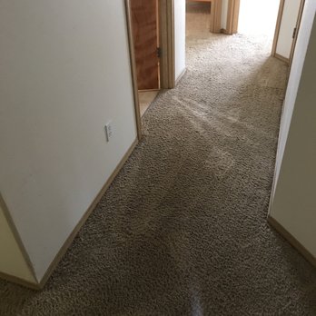Candido's Carpet Cleaning - Carpet Cleaning Near Me
