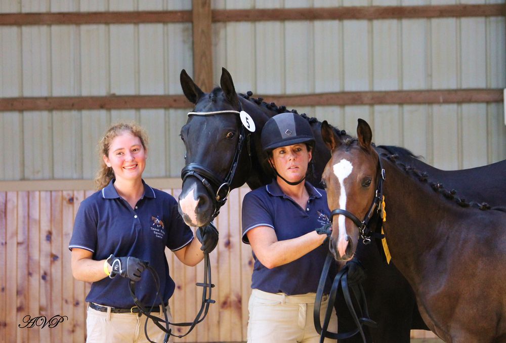 Timber Ridge Equestrian Center - equestrian in Ruffs Dale, PA