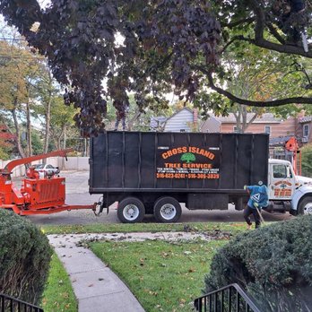 Cross Island Tree & Land - TRIMMING OUR RED MAPLE TREE - Tree Services Near Me - Freeport, New York Cross Island Tree & Land - TRIMMING OUR RED MAPLE TREE - Tree Services Near Me - Freeport, New York