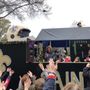 Photo of Krewe of Highland