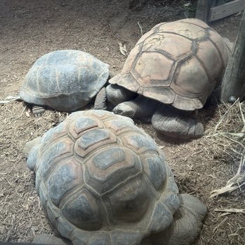 Indianapolis Zoo - Zoos Near Me - Indianapolis, Indiana Indianapolis Zoo - Zoos Near Me - Indianapolis, Indiana