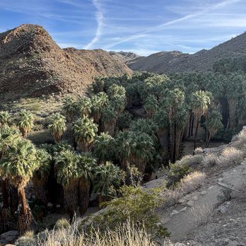 Indian Canyons - Parks Near Me - Palm Springs, California