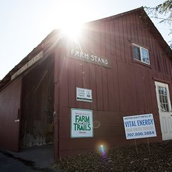 Live Oak Farm