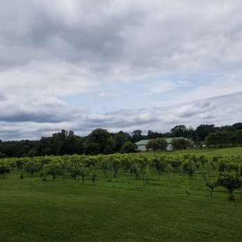 Penn Oaks Winery - pretty view - Wineries Near Me - Cooksville, Maryland Penn Oaks Winery - pretty view - Wineries Near Me - Cooksville, Maryland
