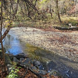 Little Paint Branch Park