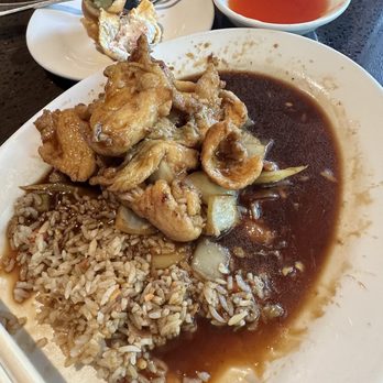 Canton Phoenix - Mushroom Chicken Lunch Special $10.50: too much sauce, more chicken than mushroom (most 3 mushroom slices) for my preference - Chinese Near Me - Wilsonville, Oregon