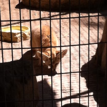 Wildlife Learning Center - Zoos Near Me - Sylmar, California