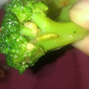 Moon Garden - Better picture of a worm that was cooked into the vegetables - Chinese Near Me - Midland, Texas Moon Garden - Better picture of a worm that was cooked into the vegetables - Chinese Near Me - Midland, Texas