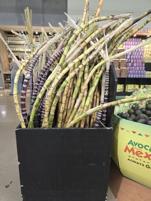 Patel Brothers by null