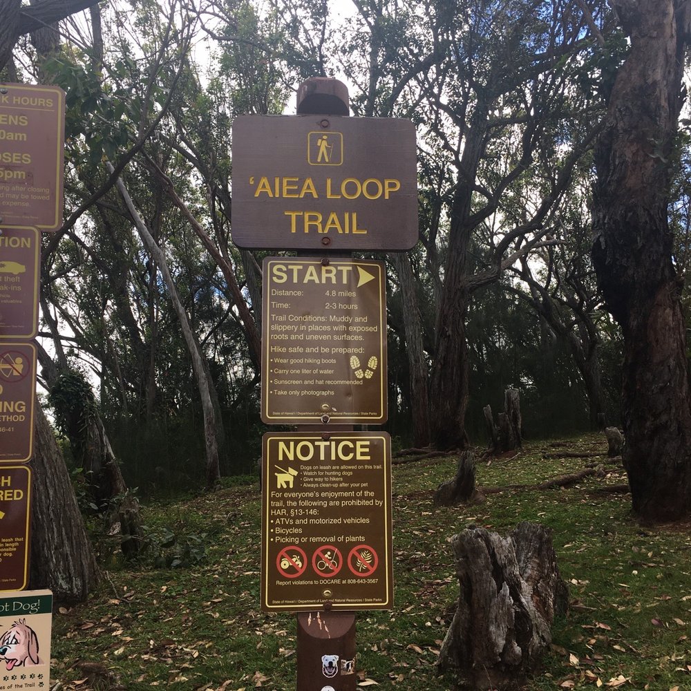 Aiea Loop Trail - Hiking Near Me - Aiea, Hawaii