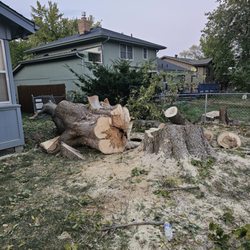 Vivians Lawn Care and Landscape