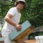 Photo of Champlain Valley Apiaries