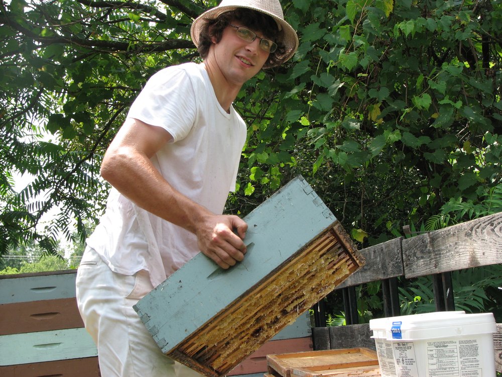 Champlain Valley Apiaries Logo