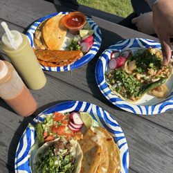 Chicken tacos, shrimp tacos, & quesabirria