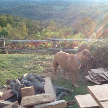 Campfire Lodgings - Site 3 looking out on a fall afternoon - Campgrounds Near Me - Asheville, North Carolina