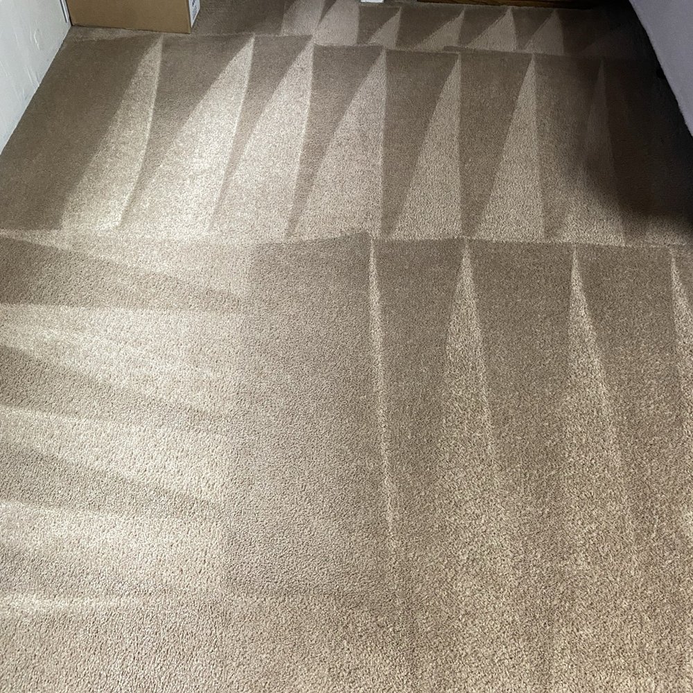 Neverlate1 - My bros studio near Santa Ana college. This is great work so happy - Carpet Cleaning Near Me Neverlate1 - My bros studio near Santa Ana college. This is great work so happy - Carpet Cleaning Near Me