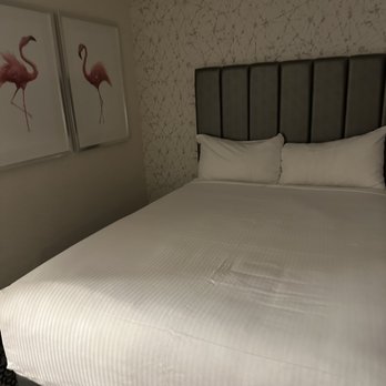 Flamingo Las Vegas - Hotels Near Me - Las Vegas, Nevada
