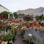 Photo of Ron's Seed & Supply