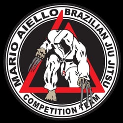 Flow Brazilian Jiu Jitsu - Our competition team logo