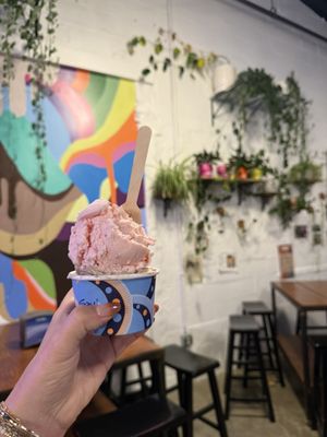 Sav’s Gourmet Ice Cream by null