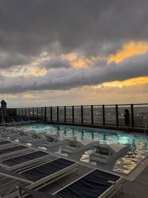 Rose & Thorn by null