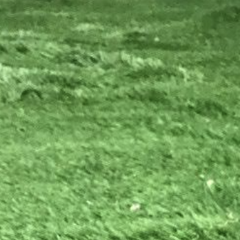 The Synthetic Grass Store - Uneven turf - Artificial Turf Near Me - Mesa, Arizona The Synthetic Grass Store - Uneven turf - Artificial Turf Near Me - Mesa, Arizona