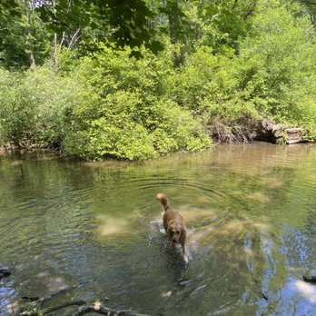 Wantage Dog Park - Dog Parks Near Me - Wantage, New Jersey