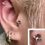 Photo of Body Art Piercing Studio