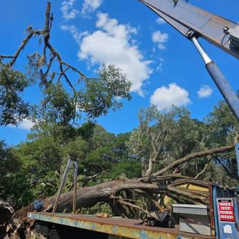 A&D Professional Service - Tree Services Near Me A&D Professional Service - Tree Services Near Me