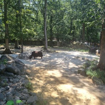 Southwick's Zoo - Amusement Parks Near Me - Mendon, Massachusetts
