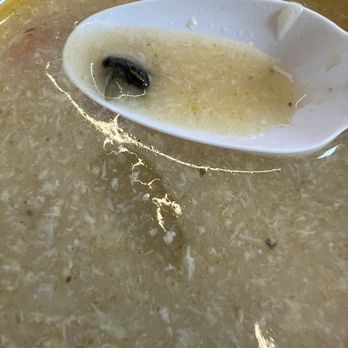 Arpeggio Grill - Fly in Lemon Chicken Soup - Pizza Near Me - Austin, Texas