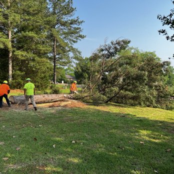 Big John's Tree Service - Tree Services Near Me