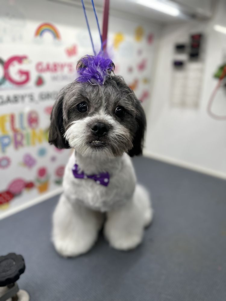 GABY’S GROOMING Updated July 2024 Request a Quote Houston, Texas