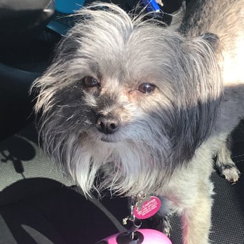 PetSmart - Pet Stores Near Me - Fort Lauderdale, Florida PetSmart - Pet Stores Near Me - Fort Lauderdale, Florida