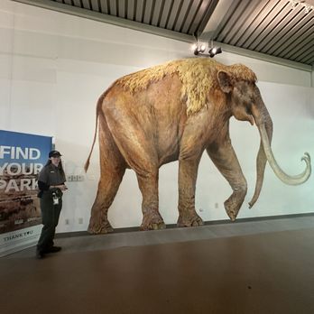 Waco Mammoth National Monument - Museums Near Me - Waco, Texas Waco Mammoth National Monument - Museums Near Me - Waco, Texas