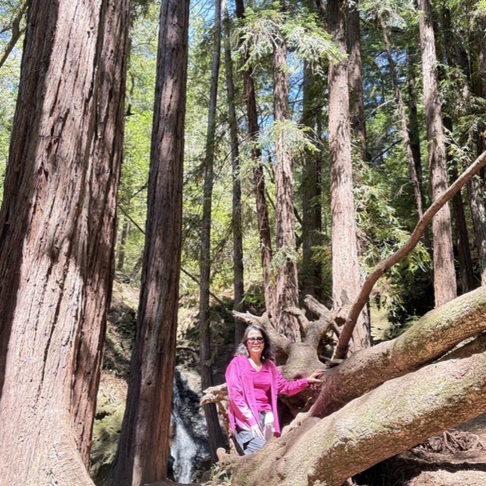 Cascade Park - Parks Near Me - Mill Valley, California