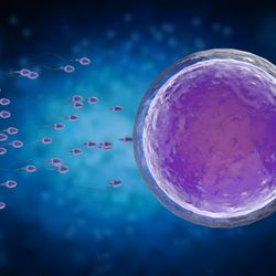 Overlake Reproductive Health