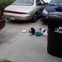 Photo of Harper's Automotive Service