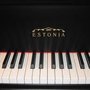 Photo of Elena's Piano Studio