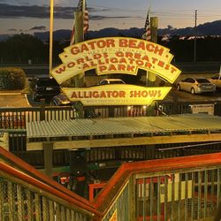 Gator Beach